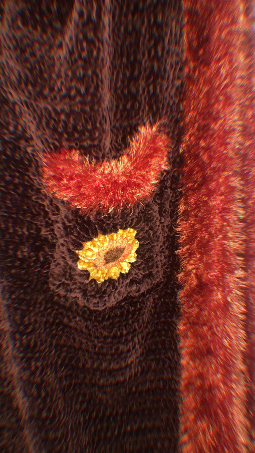 Coco and Copper Penny Lane Cardigan